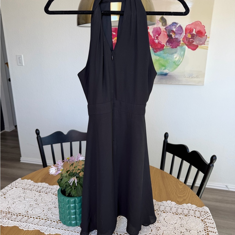 Express Black Backless Dress